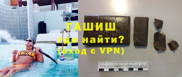 мдпв Ельня