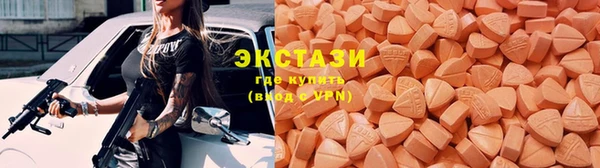 мдпв Ельня