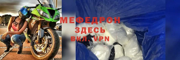мдпв Ельня