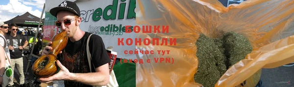 мдпв Ельня