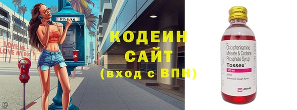 мдпв Ельня