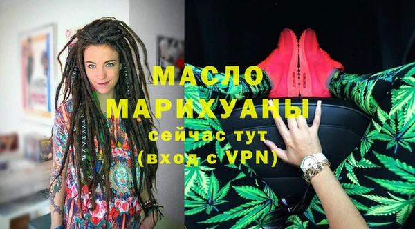 мдпв Ельня