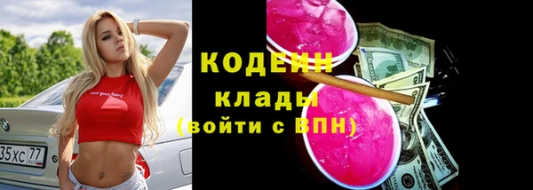 хмурый Елабуга