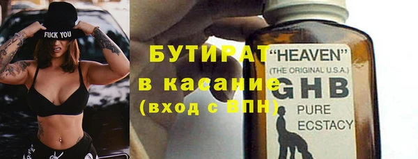 мдпв Ельня