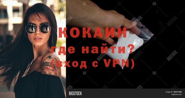 мдпв Ельня