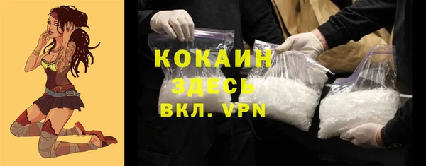 мдпв Ельня