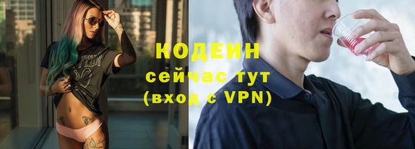 хмурый Елабуга