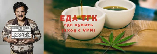 мдпв Ельня