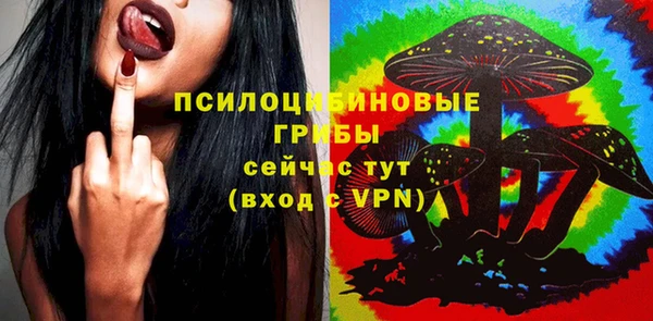 мдпв Ельня