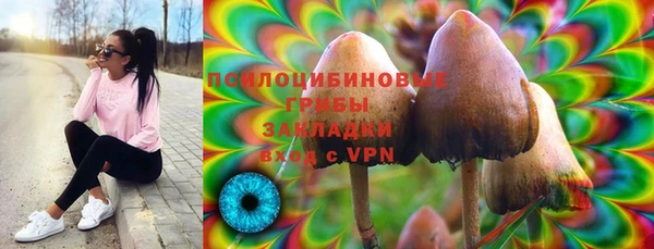 мдпв Ельня
