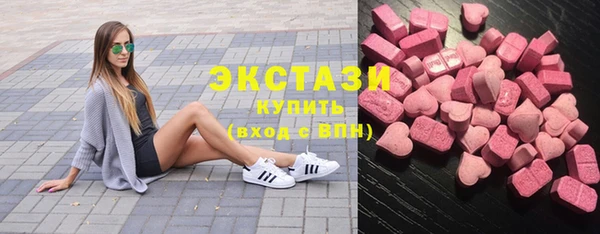мдпв Ельня