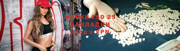 мдпв Ельня