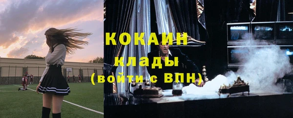 мдпв Ельня