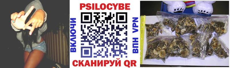 Галлюциногенные грибы Psilocybe  Купить  Омутнинск 